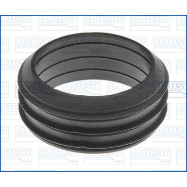 01110900 Dichtung, Ansaugkrümmergehäuse