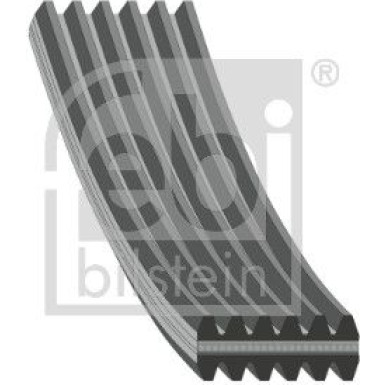 FEBI BILSTEIN Rillenriemen | 40713