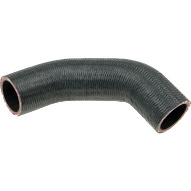 RAPRO Ladeluftschlauch R39120
