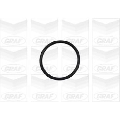 PA 886 Wasserpumpe | CITROEN C5,PEUGEOT 407 00 | PA886