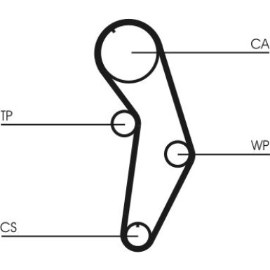 CT908WP2 Wasserpumpe + Zahnriemensatz