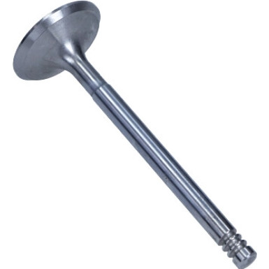 Einlassventil | R6143/SCR