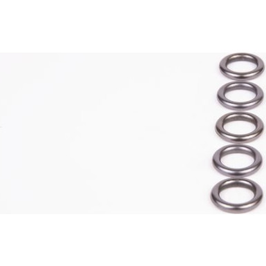 O-Ring | Diverse | 2430210082