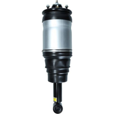 2070025 Luftfederbein 2070025 Luftfederbein