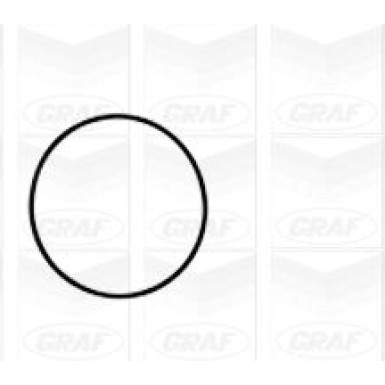 PA 1061 Wasserpumpe | CHEV Lacetti,Nubira 05 | PA1061