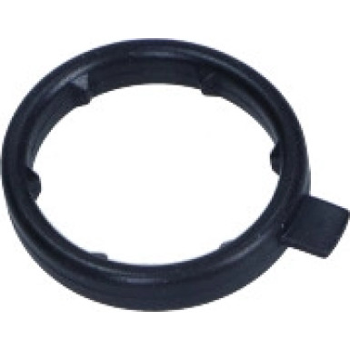 Original VAG Wasserringdichtung VW Touareg 3.6 06 | 03H121041B