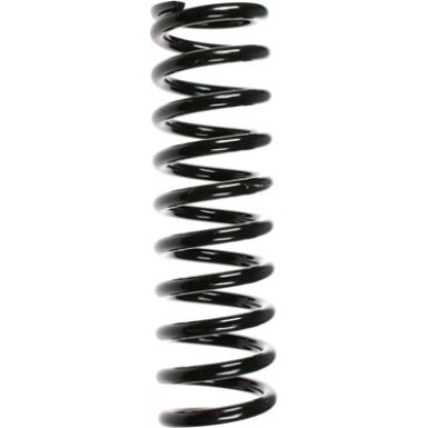 SPIDAN Fahrwerksfeder | 49226