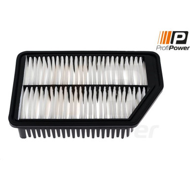 PROFIPOWER Luftfilter | 2F0155
