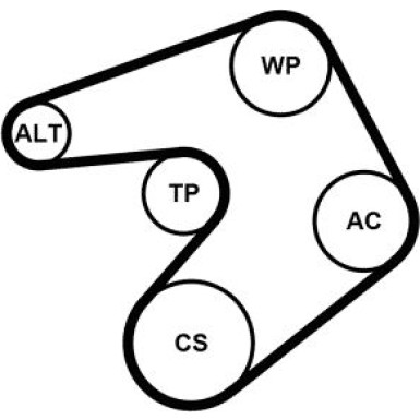 Continental CTAM Satz Gürtel 6PK1205K1