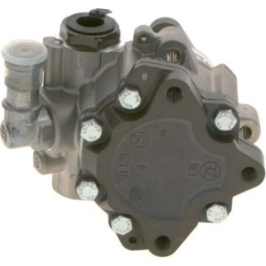 K S00 000 605 Hydraulikpumpe, Lenkung K S00 000 605 Hydraulikpumpe, Lenkung