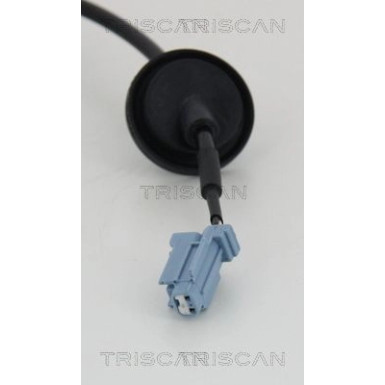Sensor, Raddrehzahl | 818014112