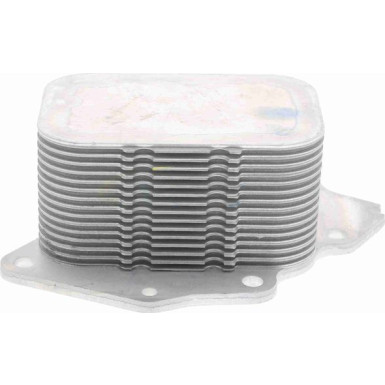 VEMO Ölkühler, Motoröl