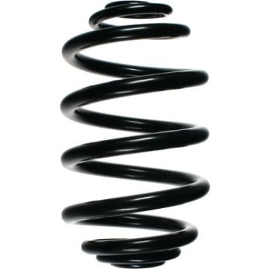 SPIDAN Fahrwerksfeder | 48044