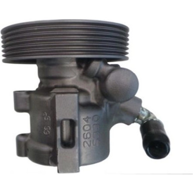 SPIDAN Hydraulikpumpe 53961 SPIDAN Hydraulikpumpe 53961