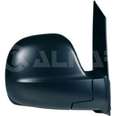 Außenspiegel | 9232969