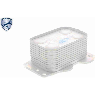 VEMO Ölkühler, Motoröl V25-60-0025 Expert Kits + VEMO Ölkühler, Motoröl V25-60-0025 Expert Kits +