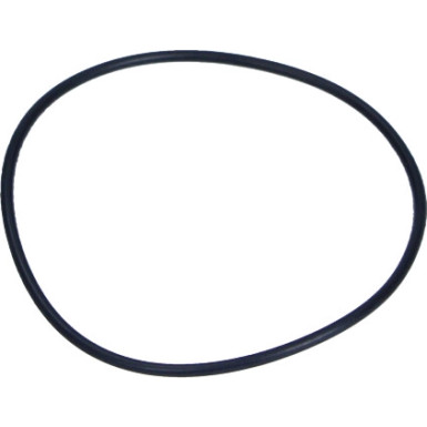 Original VAG Ausgleichswellendichtung Audi A6 5.2 05-11 | N91038802