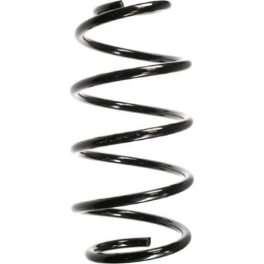 SPIDAN Fahrwerksfeder | 48510