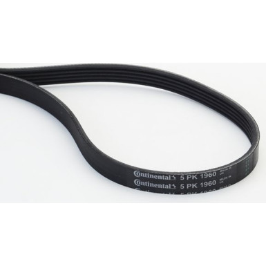 CONTINENTAL CTAM Keilrippenriemen 5PK1960 CONTINENTAL CTAM Keilrippenriemen 5PK1960