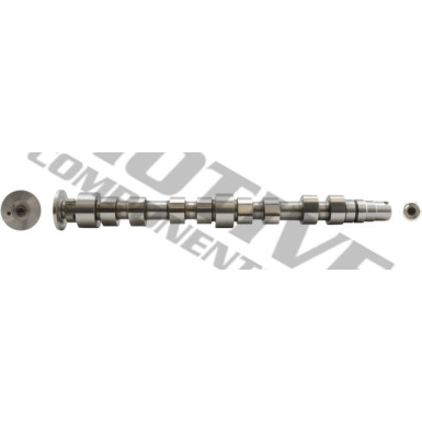 Nockenwelle | T2176 Nockenwelle | T2176