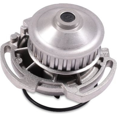 HEPU Wasserpumpe P515 HEPU Wasserpumpe P515