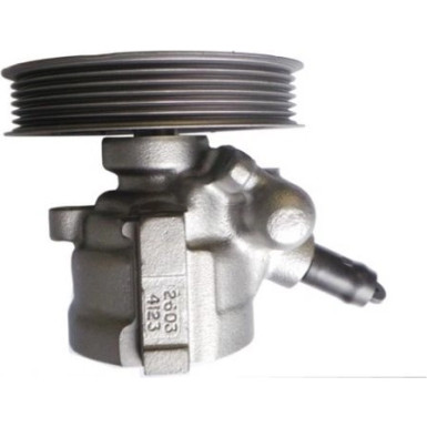 SPIDAN Hydraulikpumpe 53878 SPIDAN Hydraulikpumpe 53878