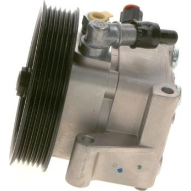 K S00 000 098 Hydraulikpumpe, Lenkung K S00 000 098 Hydraulikpumpe, Lenkung