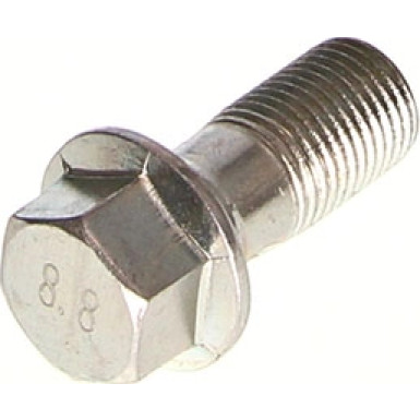 Hohlschraube | 81053256
