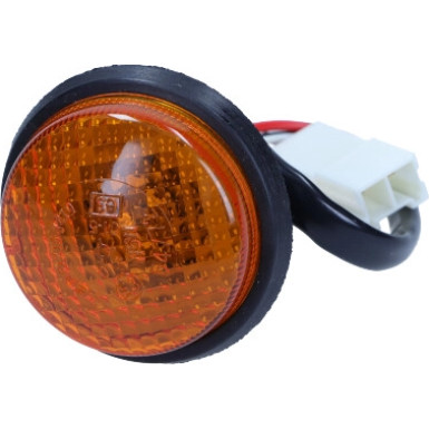 Blinkleuchte | 215-1419N-AE