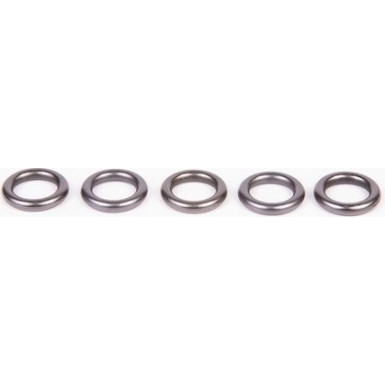 O-Ring | Diverse | 2430210082
