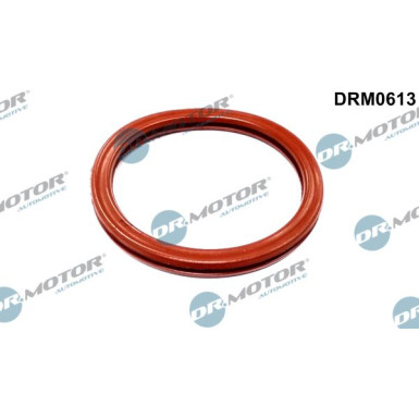 Dichtung, Drosselklappenstutzen | DRM0613 Dichtung, Drosselklappenstutzen | DRM0613