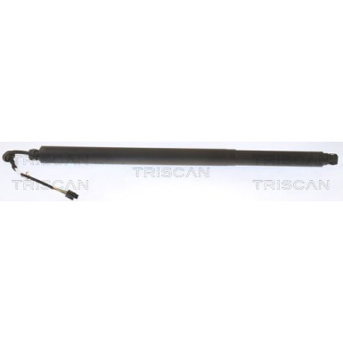 GASFEDER, KOFFER-/LADERAUM | 871029313