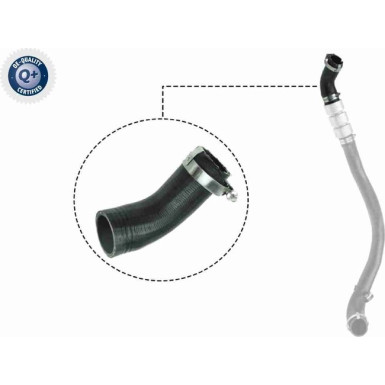VAICO Ladeluftschlauch VAICO Ladeluftschlauch