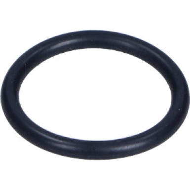 Wasserringdichtung Bmw 3 F30 | 11537600587 Wasserringdichtung Bmw 3 F30 | 11537600587