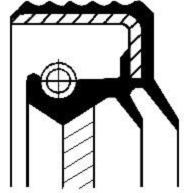 07011906B Wellendichtring, Differential