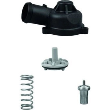 BEHR Thermostat, Kühlmittel TI 244 83D