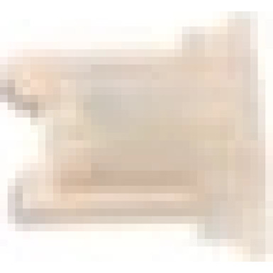 1 987 529 049 Sicherung