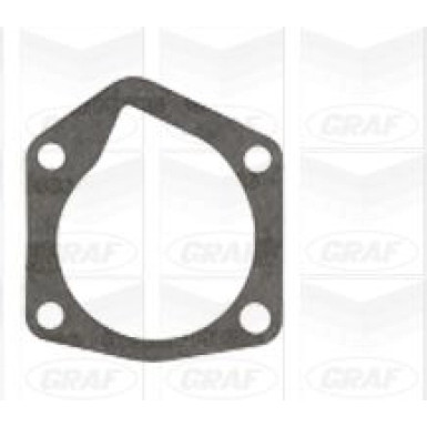 PA 804 Wasserpumpe | SEAT Arosa,VW Lupo 97 | PA804