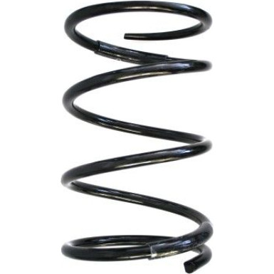 SPIDAN Fahrwerksfeder | 55303