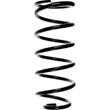 SPIDAN Fahrwerksfeder | 49520