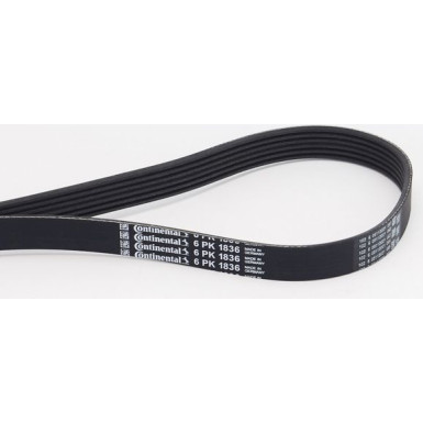 Keilrippenriemen 6Pk1836 6PK1836