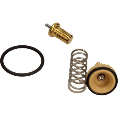 Thermostateinsatz mit Dichtung VW Passat 05-10 BEHR TX 181 105D