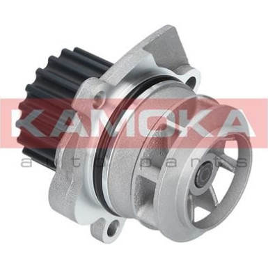 T0020 Wasserpumpe, Motorkühlung