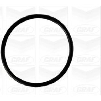 PA 806 Wasserpumpe | SKODA Fabia, VW Polo 00 | PA806