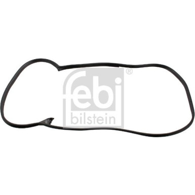 FEBI BILSTEIN Versiegelung FEBI BILSTEIN Versiegelung