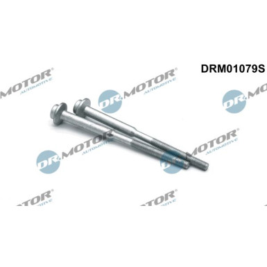 DR.MOTOR Schraube, Einspritzdüsenhalter DRM01079S