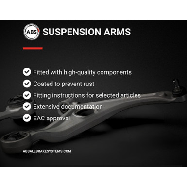 210552 Lenker, Radaufhängung