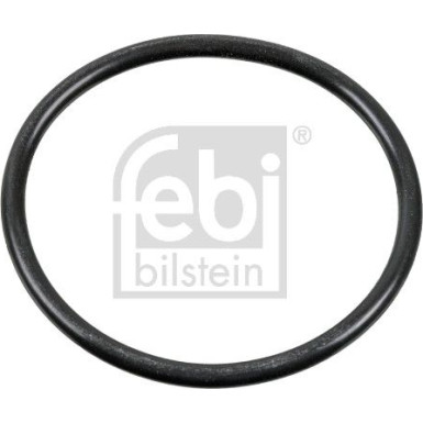 FEBI BILSTEIN O-Ring | 100165