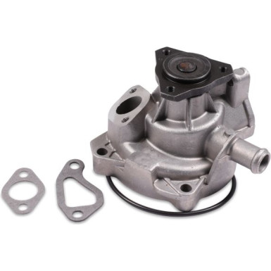 HEPU Wasserpumpe P530