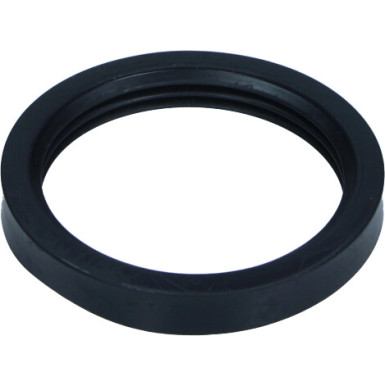 Drosselklappendichtung Renault 1.4 8V | 165693152R Drosselklappendichtung Renault 1.4 8V | 165693152R